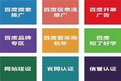 SEM专员的角色与成功案例解析